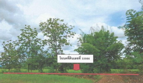 รูปที่ดินว่างเปล่า ดงขุย ชนแดน เพชรบูรณ์