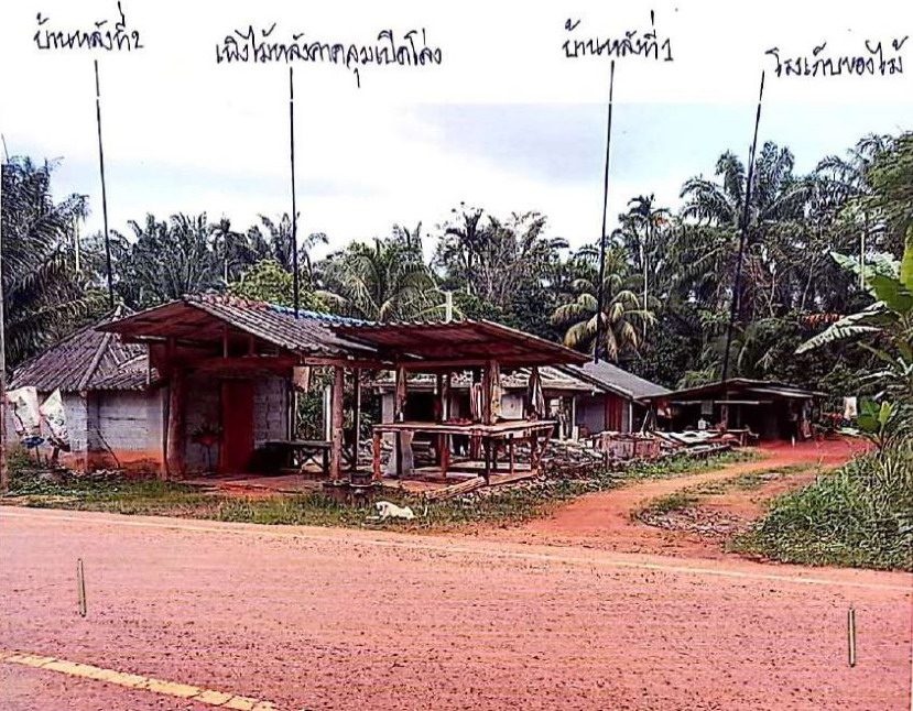 รูปที่ดินพร้อมสิ่งปลูกสร้าง ไทรทอง ชัยบุรี สุราษฎร์ธานี