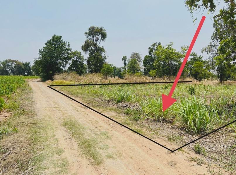 รูปที่ดินว่างเปล่า บ้านแท่น ชนบท ขอนแก่น