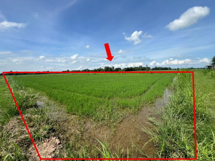 รูปที่ดินว่างเปล่า ดงเดือย กงไกรลาศ สุโขทัย