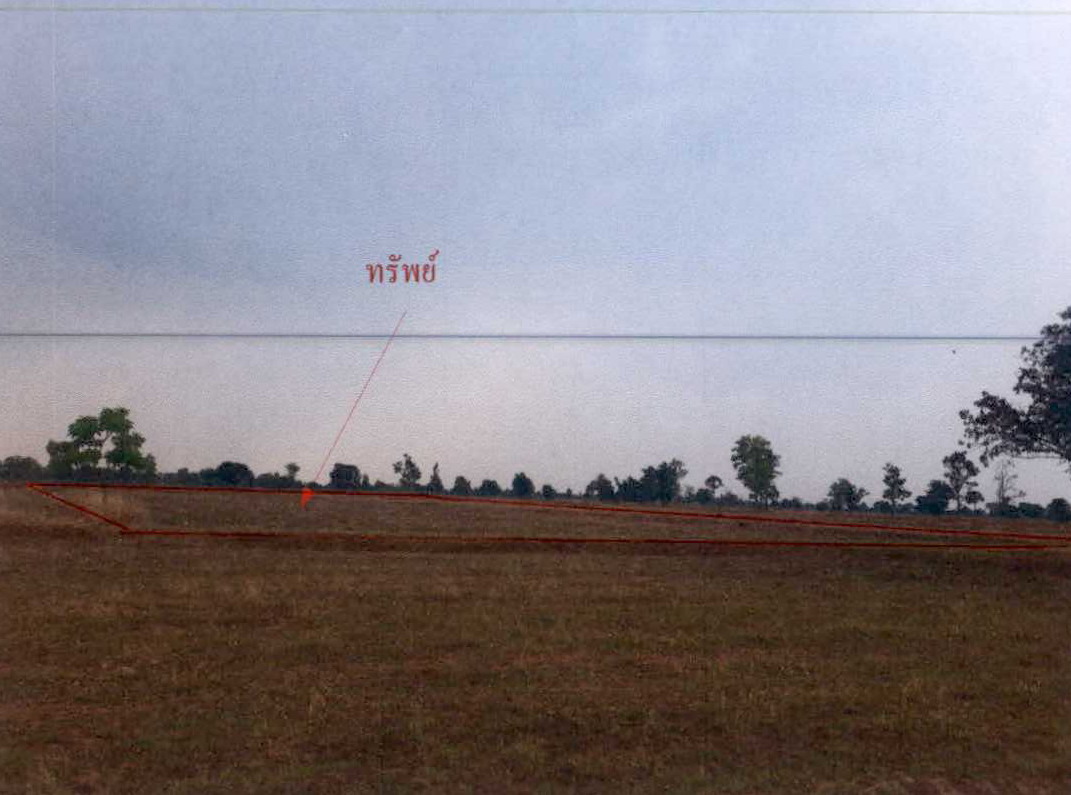 รูปที่ดินว่างเปล่า อีสานเขต เฉลิมพระเกียรติ บุรีรัมย์