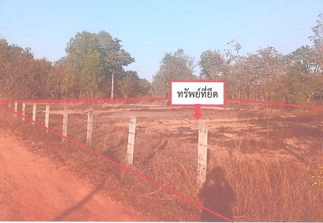 รูปที่ดินพร้อมสิ่งปลูกสร้าง วาใหญ่ อากาศอำนวย สกลนคร