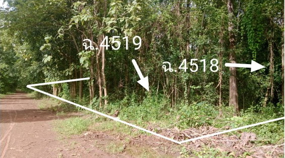 รูปที่ดินว่างเปล่า ตะกุดไร ชนแดน เพชรบูรณ์