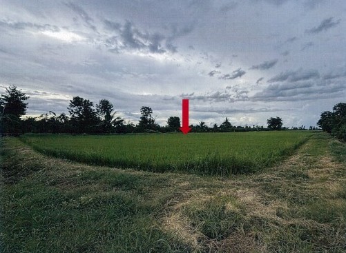 รูปที่ดินว่างเปล่า นิคมทุ่งโพธิ์ทะเล เมืองกำแพงเพชร กำแพงเพชร