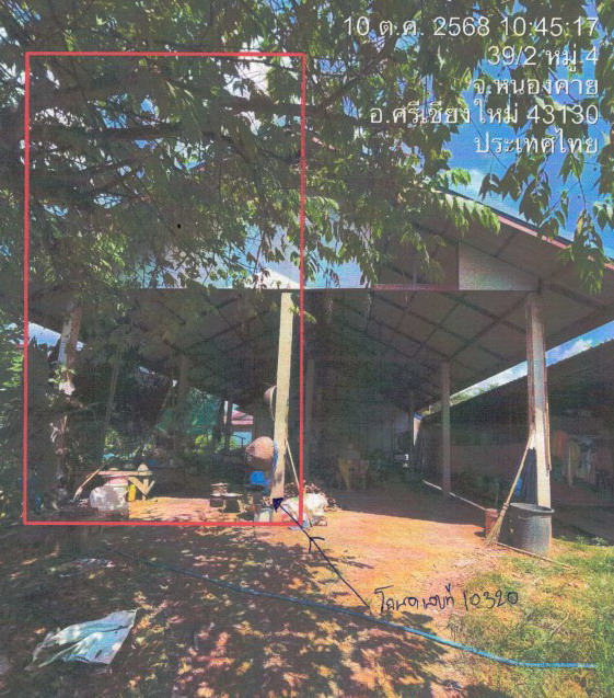 รูปที่ดินว่างเปล่า หนองปลาปาก ศรีเชียงใหม่ หนองคาย