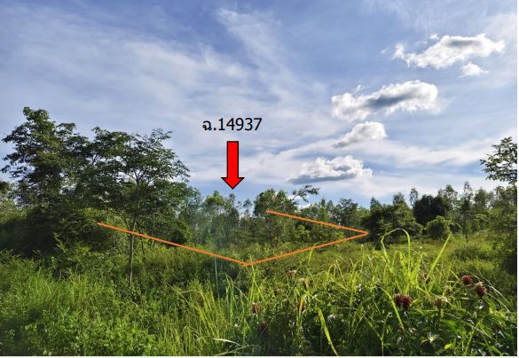 รูปที่ดินว่างเปล่า พังงู หนองหาน อุดรธานี