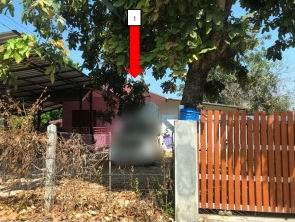 รูปที่ดินพร้อมสิ่งปลูกสร้าง ดอนสมบูรณ์ ยางตลาด กาฬสินธุ์
