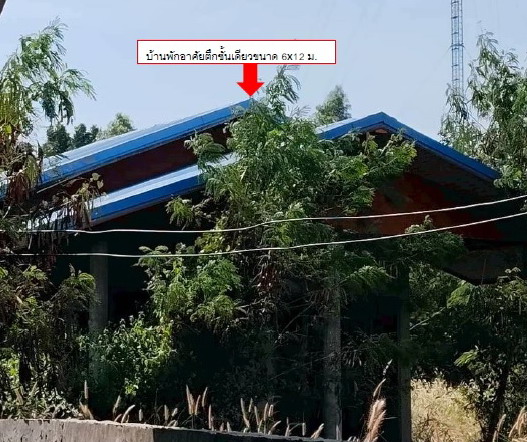 รูปที่ดินพร้อมสิ่งปลูกสร้าง หนองแวง บ้านใหม่ไชยพจน์ บุรีรัมย์
