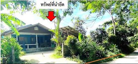 รูปที่ดินพร้อมสิ่งปลูกสร้าง ท่าดี ลานสกา นครศรีธรรมราช