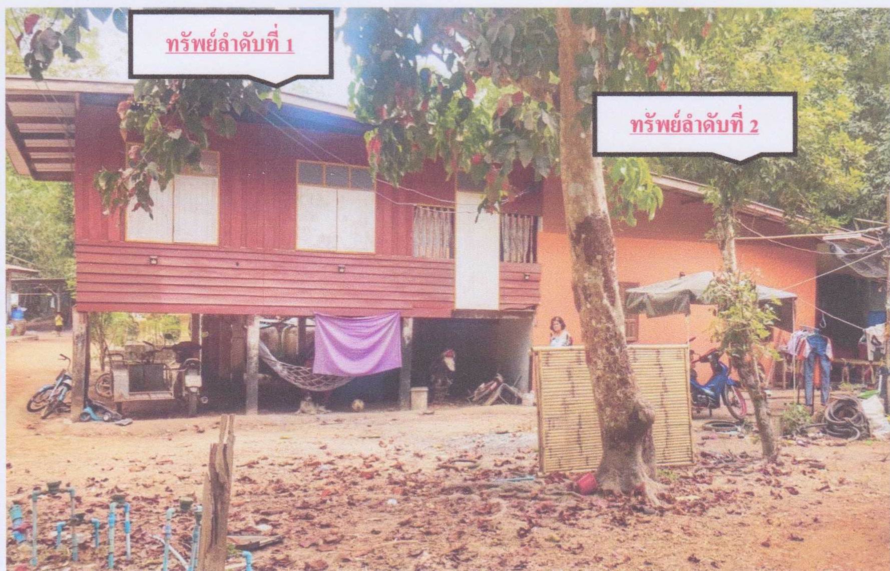 รูปที่ดินพร้อมสิ่งปลูกสร้าง เกาะลอย ประจันตคาม ปราจีนบุรี