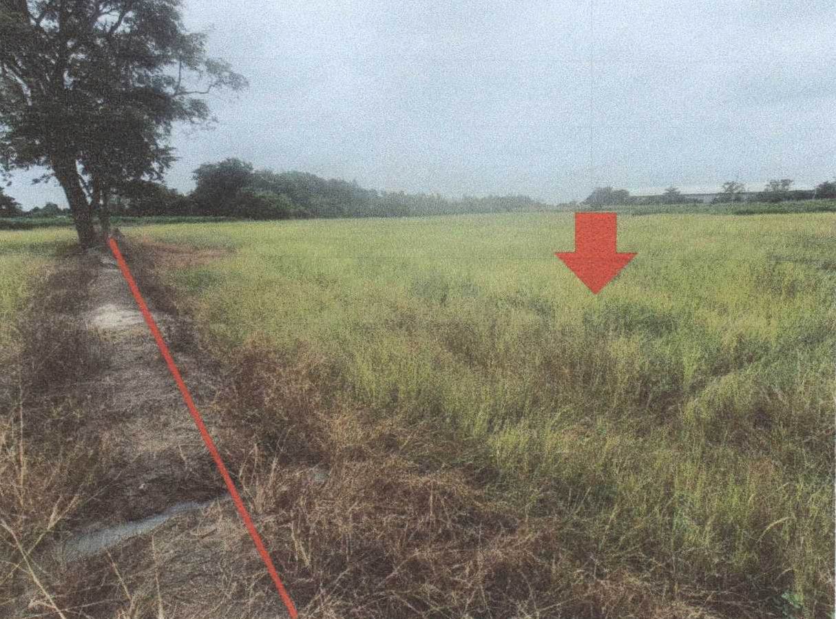 รูปที่ดินว่างเปล่า หนองกระโดน เมืองนครสวรรค์ นครสวรรค์