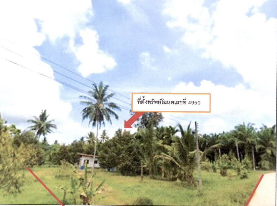 รูปที่ดินพร้อมสิ่งปลูกสร้าง นาสัก สวี ชุมพร