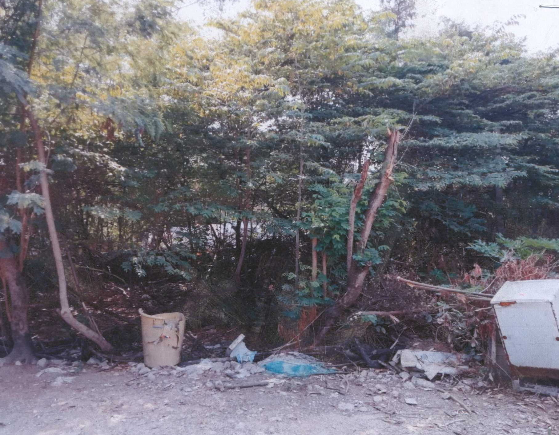 รูปที่ดินว่างเปล่า บางคูวัด เมืองปทุมธานี ปทุมธานี