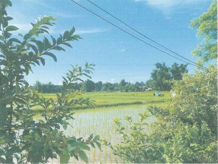 รูปที่ดินว่างเปล่า อาจสามารถ เมืองนครพนม นครพนม