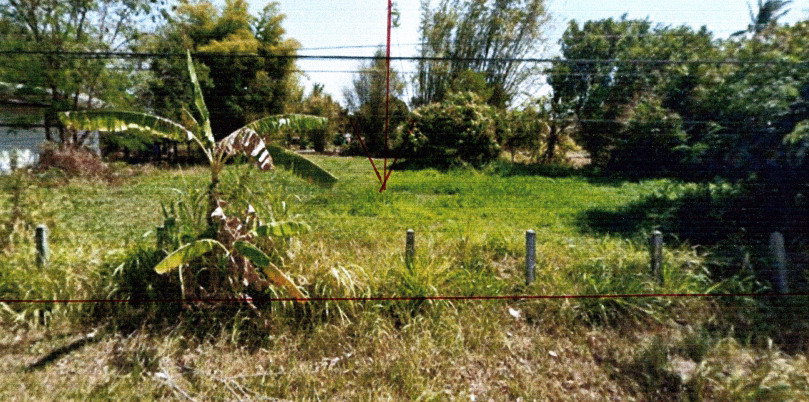 รูปที่ดินว่างเปล่า ลือ ปทุมราชวงศา อำนาจเจริญ