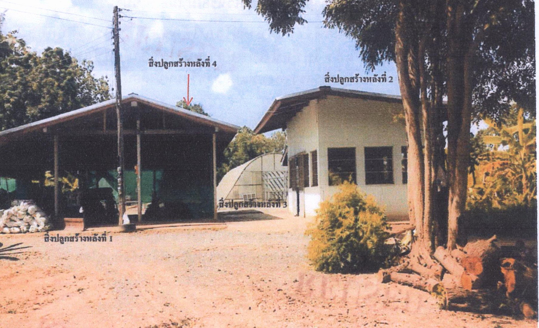 รูปที่ดินพร้อมสิ่งปลูกสร้าง บางกระทุ่ม บางกระทุ่ม พิษณุโลก