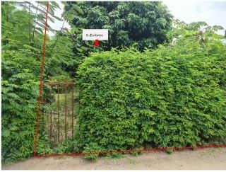 รูปที่ดินว่างเปล่า หนองผึ้ง สารภี เชียงใหม่