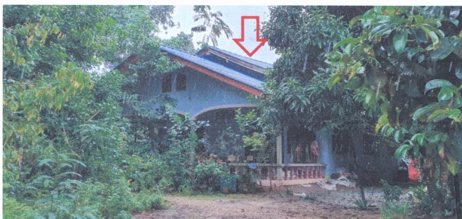 รูปที่ดินพร้อมสิ่งปลูกสร้าง บ้านนา ศรีนครินทร์ พัทลุง