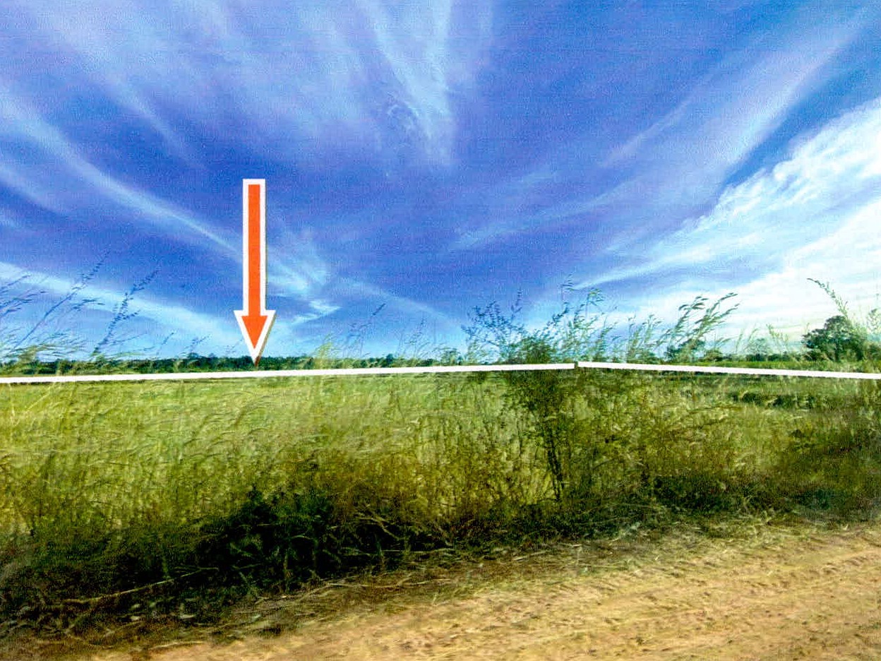 รูปที่ดินว่างเปล่า ดงมะไฟ ทรายมูล ยโสธร