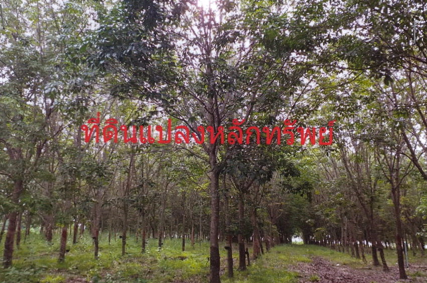 รูปที่ดินว่างเปล่า คำป่าหลาย เมืองมุกดาหาร มุกดาหาร