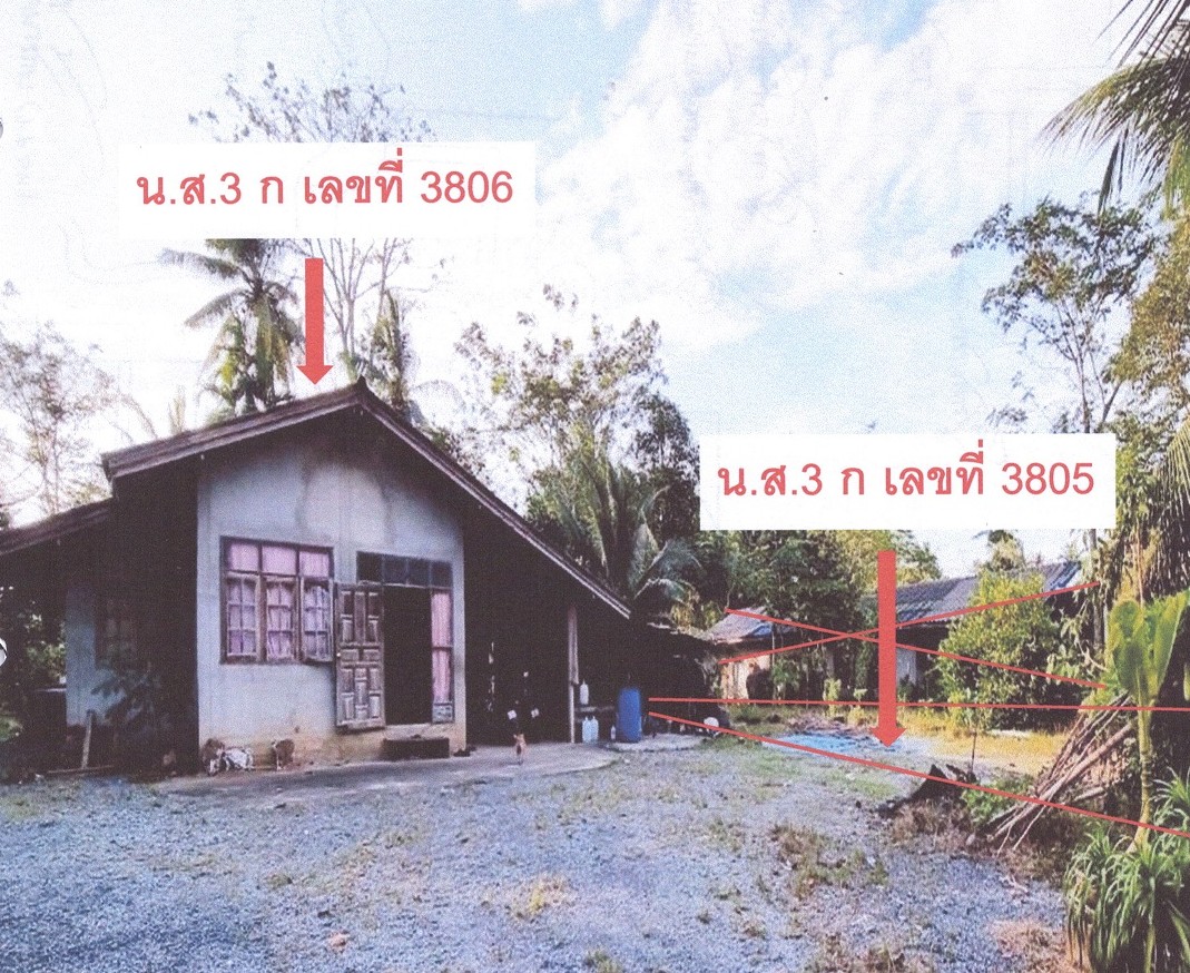 รูปที่ดินว่างเปล่า ที่วัง ทุ่งสง นครศรีธรรมราช