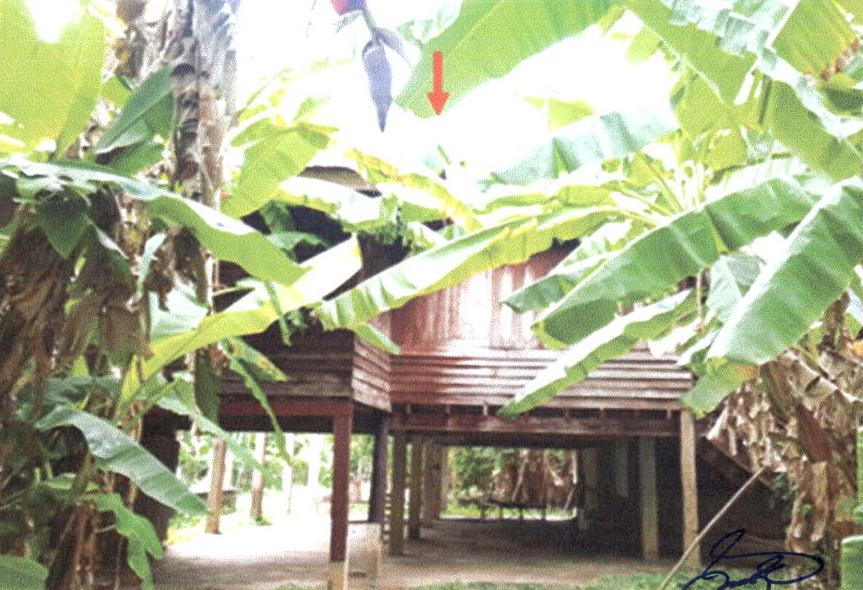 รูปที่ดินพร้อมสิ่งปลูกสร้าง ช่อแฮ เมืองแพร่ แพร่