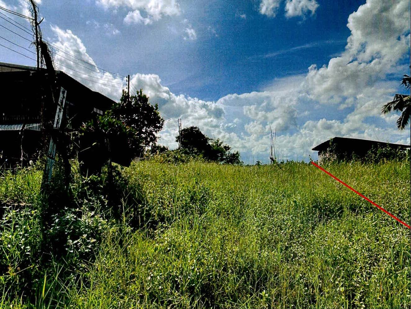 รูปที่ดินว่างเปล่า ลำดวน ลำดวน สุรินทร์