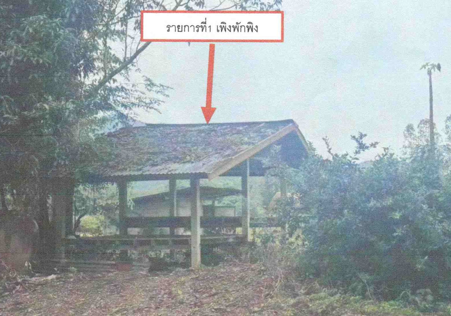 รูปที่ดินพร้อมสิ่งปลูกสร้าง ธาตุ เชียงคาน เลย