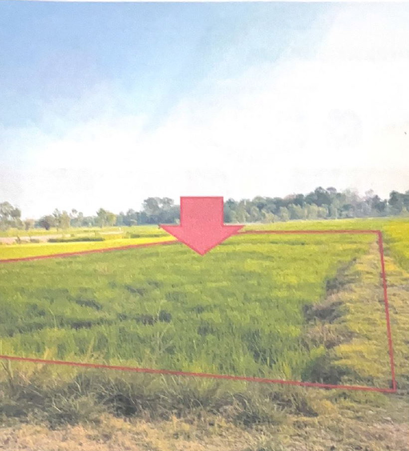 รูปที่ดินว่างเปล่า หัวเมือง มหาชนะชัย ยโสธร