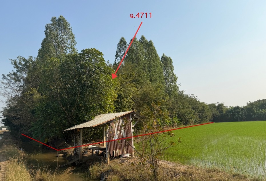 รูปที่ดินว่างเปล่า กระเสียว สามชุก สุพรรณบุรี