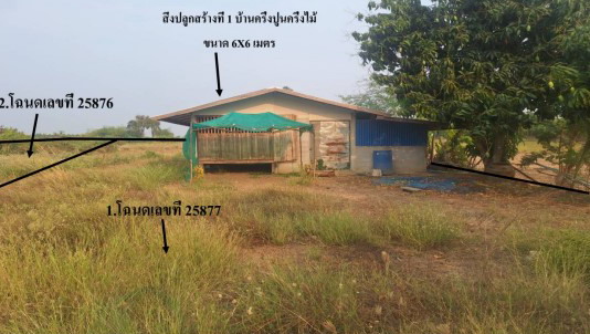 รูปที่ดินพร้อมสิ่งปลูกสร้าง ดงขุย ชนแดน เพชรบูรณ์
