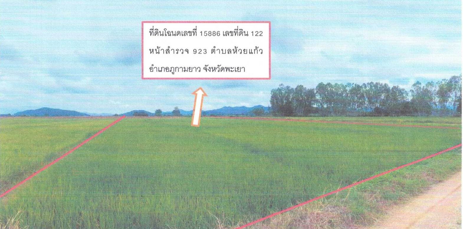 รูปที่ดินว่างเปล่า ห้วยแก้ว ภูกามยาว พะเยา