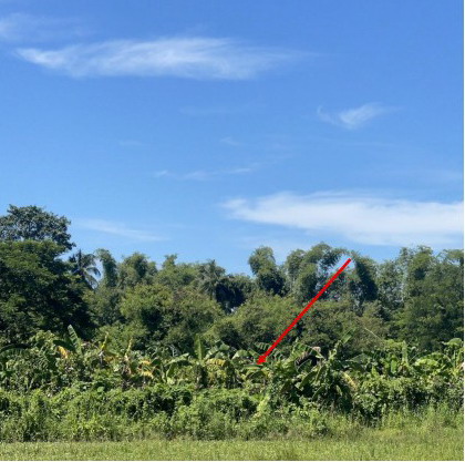 รูปที่ดินว่างเปล่า เวียงคุก เมืองหนองคาย หนองคาย