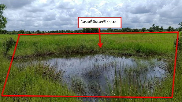 รูปที่ดินว่างเปล่า นาใหญ่ สุวรรณภูมิ ร้อยเอ็ด