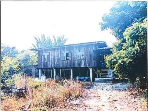 รูปที่ดินพร้อมสิ่งปลูกสร้าง แม่สรวย แม่สรวย เชียงราย
