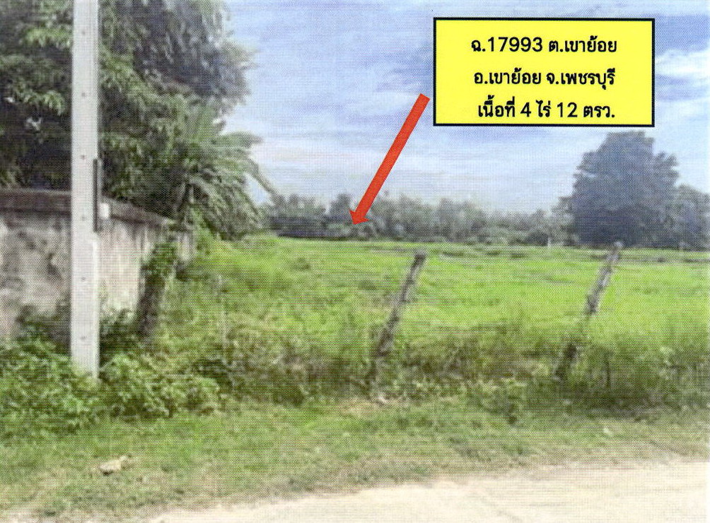 รูปที่ดินว่างเปล่า เขาย้อย เขาย้อย เพชรบุรี