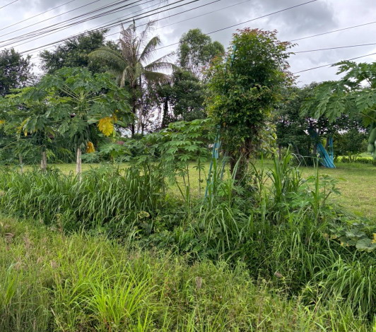 รูปที่ดินว่างเปล่า หนองนกทา เขมราฐ อุบลราชธานี