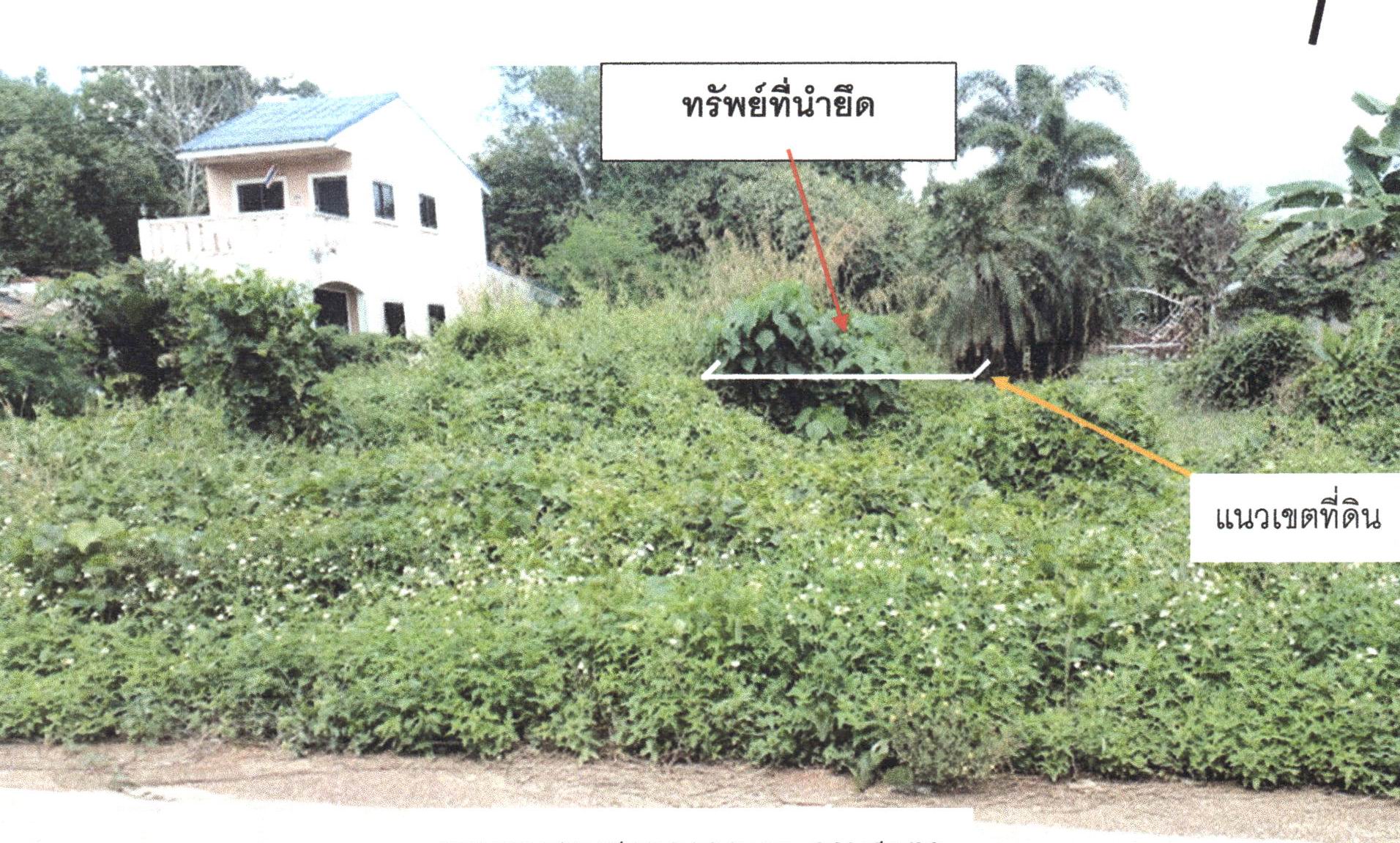 รูปที่ดินว่างเปล่า ทุ่งหมอ สะเดา สงขลา