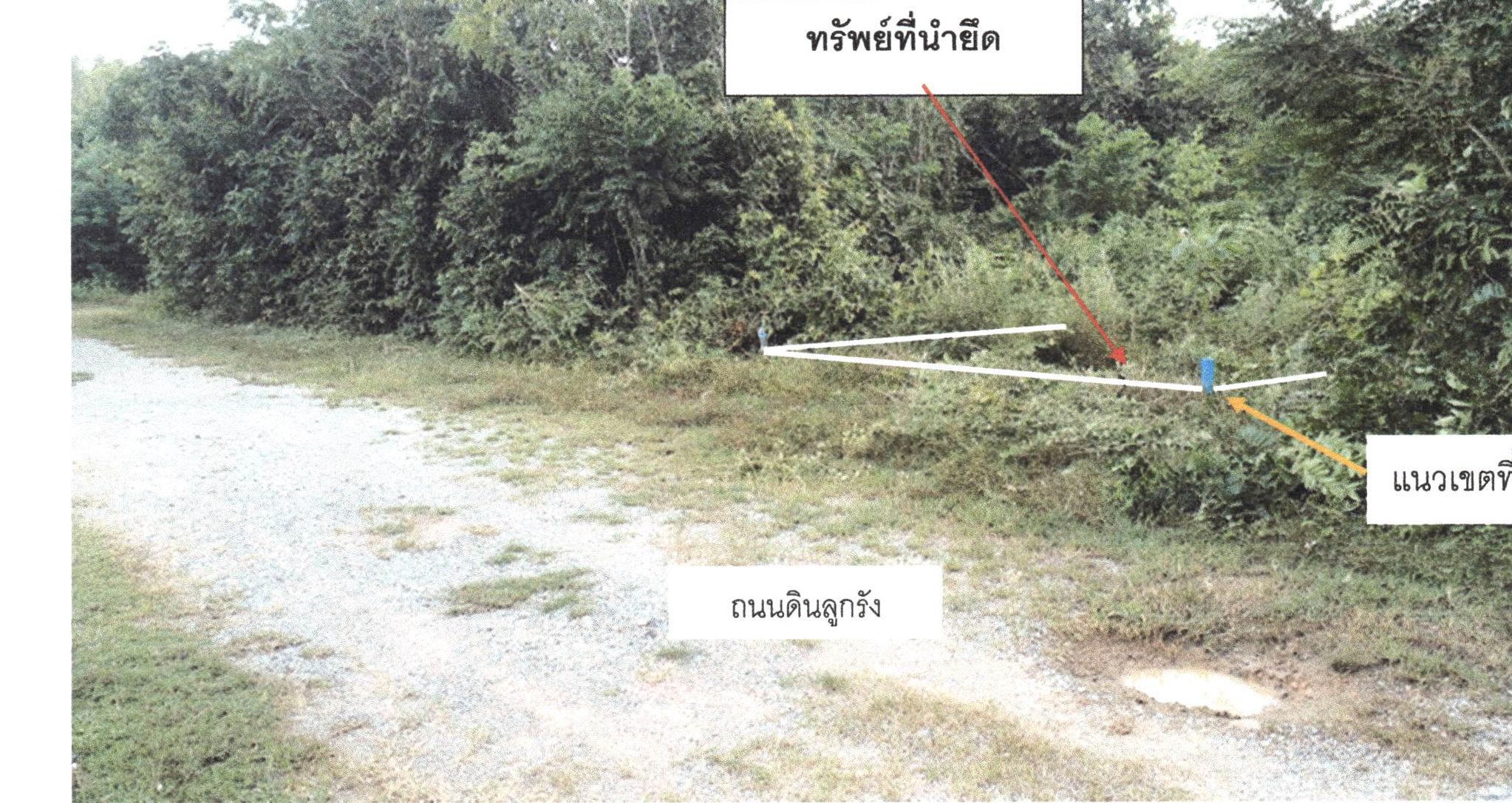 รูปที่ดินว่างเปล่า พังลา สะเดา สงขลา