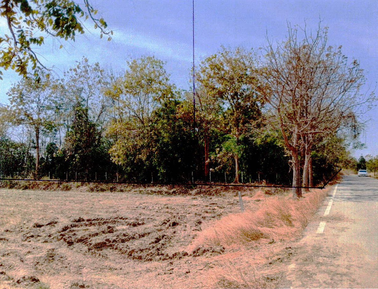 รูปที่ดินว่างเปล่า หนองขาว ท่าม่วง กาญจนบุรี