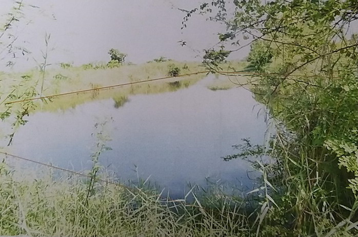 รูปที่ดินว่างเปล่า บ้านแป้น เมืองลำพูน ลำพูน