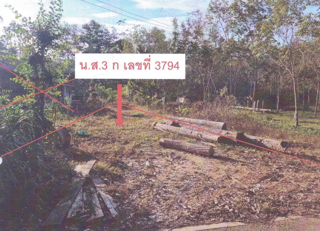 รูปที่ดินว่างเปล่า ที่วัง ทุ่งสง นครศรีธรรมราช