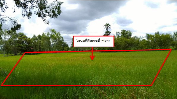 รูปที่ดินว่างเปล่า นาใหญ่ สุวรรณภูมิ ร้อยเอ็ด