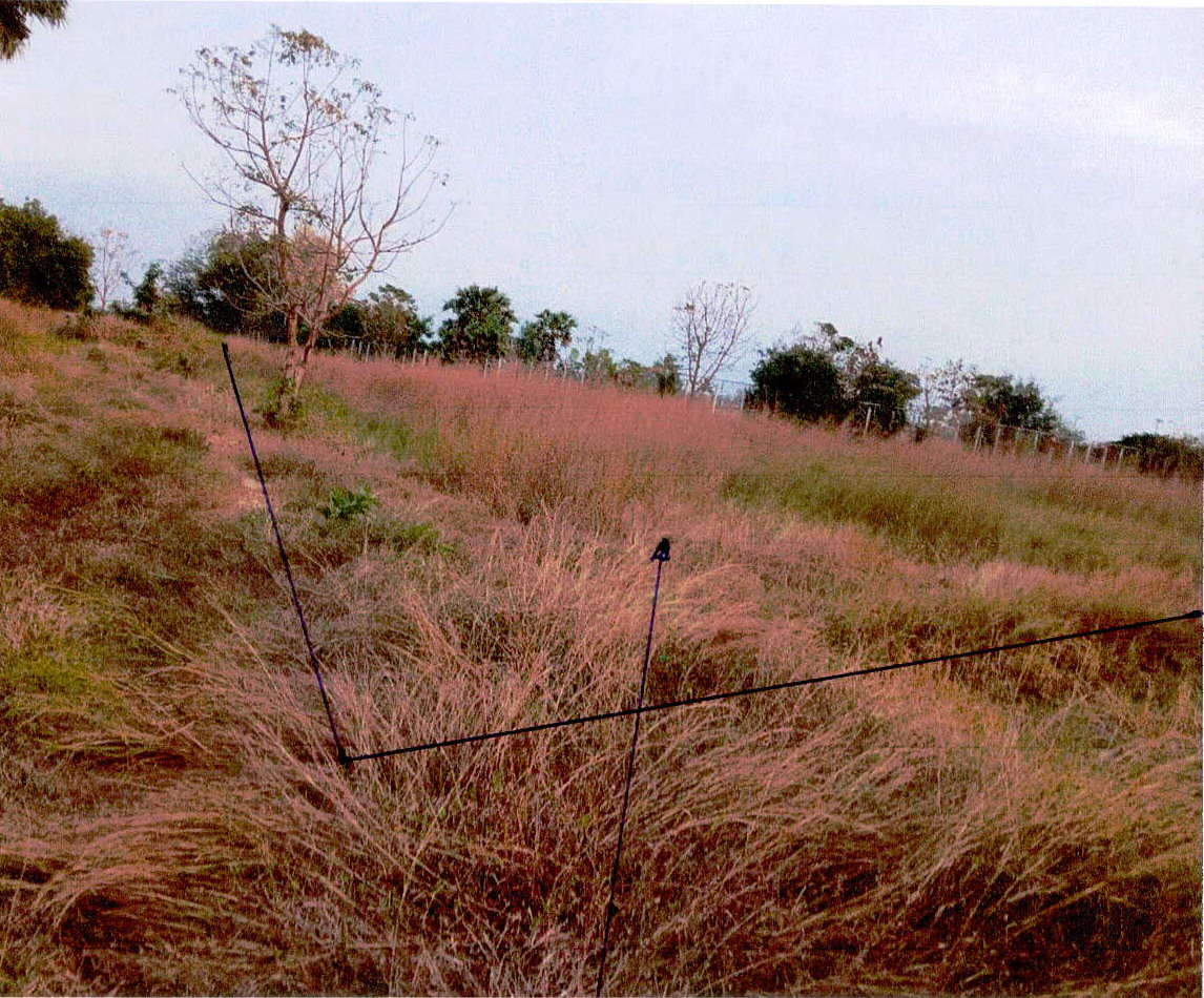 รูปที่ดินว่างเปล่า หนองขาว ท่าม่วง กาญจนบุรี