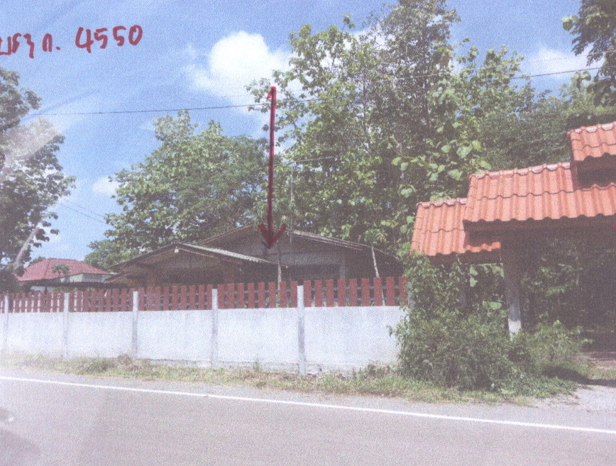 รูปที่ดินพร้อมสิ่งปลูกสร้าง บ้านธาตุ เพ็ญ อุดรธานี