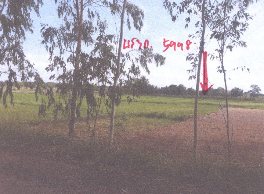 รูปที่ดินว่างเปล่า บ้านธาตุ เพ็ญ อุดรธานี