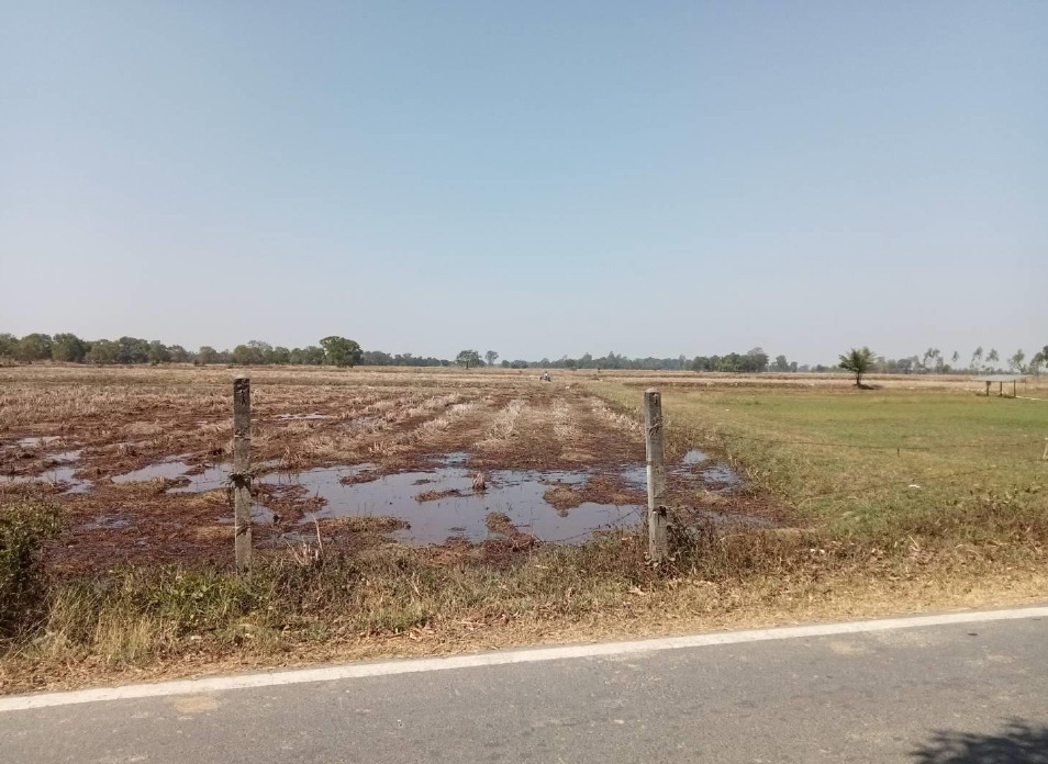 รูปที่ดินว่างเปล่า โพนครก ท่าตูม สุรินทร์
