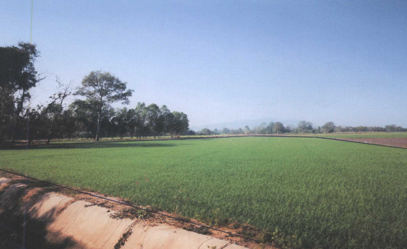 รูปที่ดินว่างเปล่า บ่อทอง ทองแสนขัน อุตรดิตถ์
