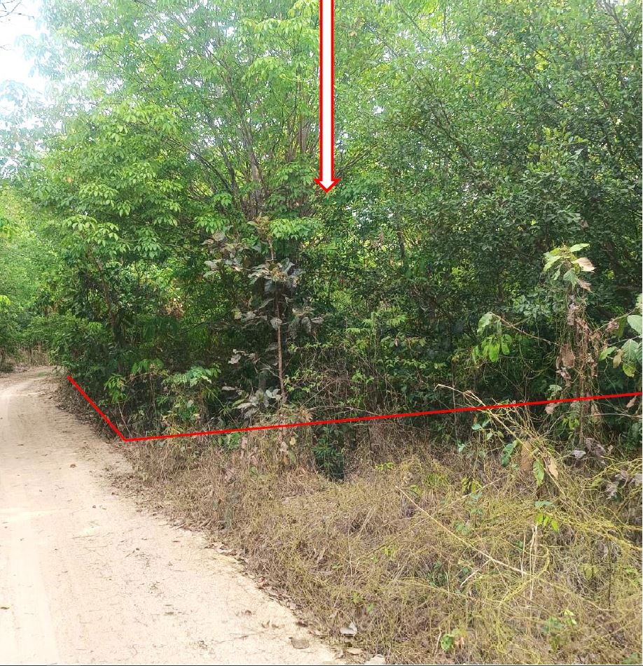รูปที่ดินว่างเปล่า ดงแคนใหญ่ คำเขื่อนแก้ว ยโสธร
