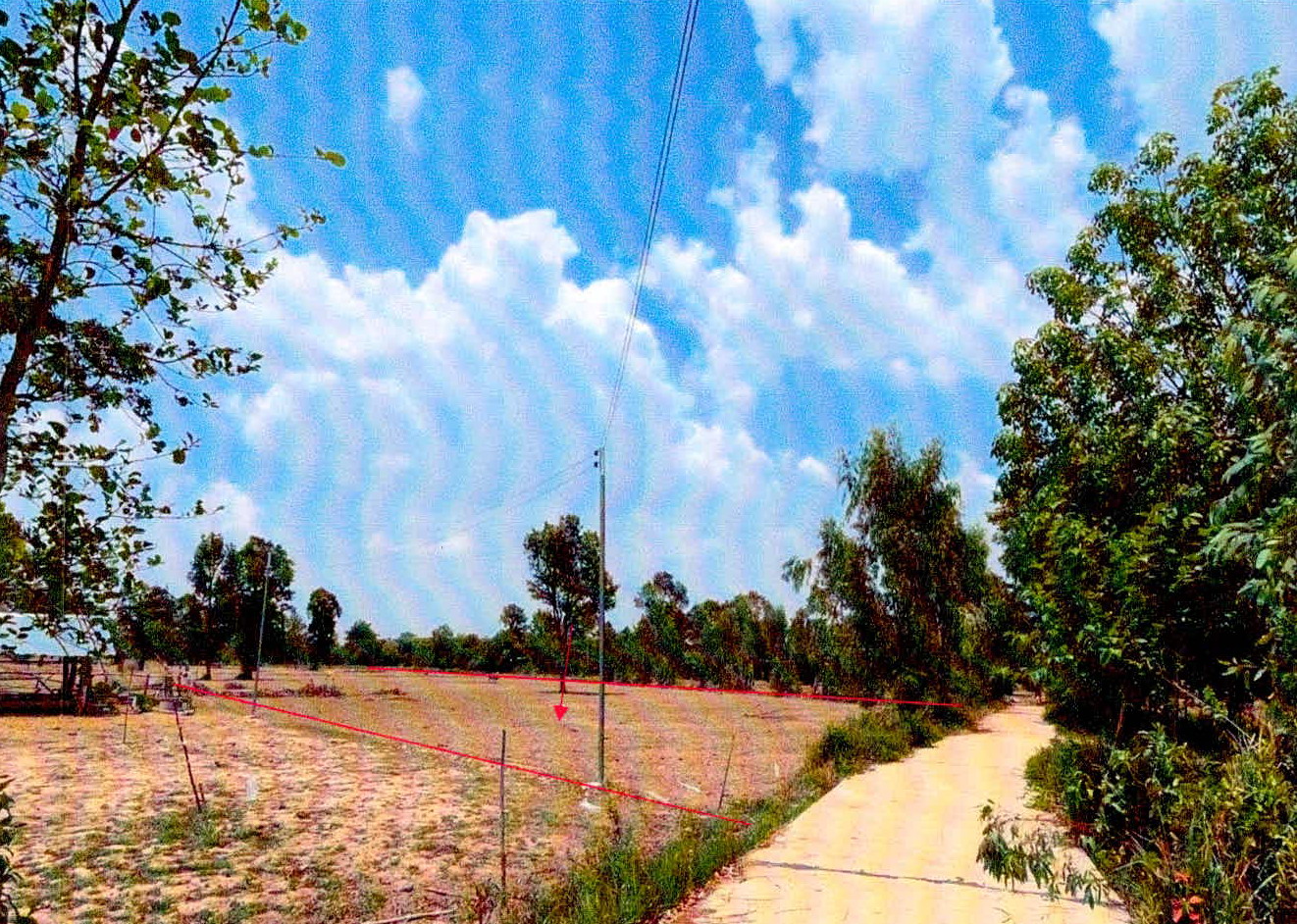 รูปที่ดินว่างเปล่า พรหมสวัสดิ์ เมืองศรีสะเกษ ศรีสะเกษ